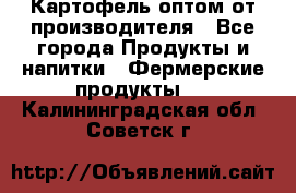 Картофель оптом от производителя - Все города Продукты и напитки » Фермерские продукты   . Калининградская обл.,Советск г.